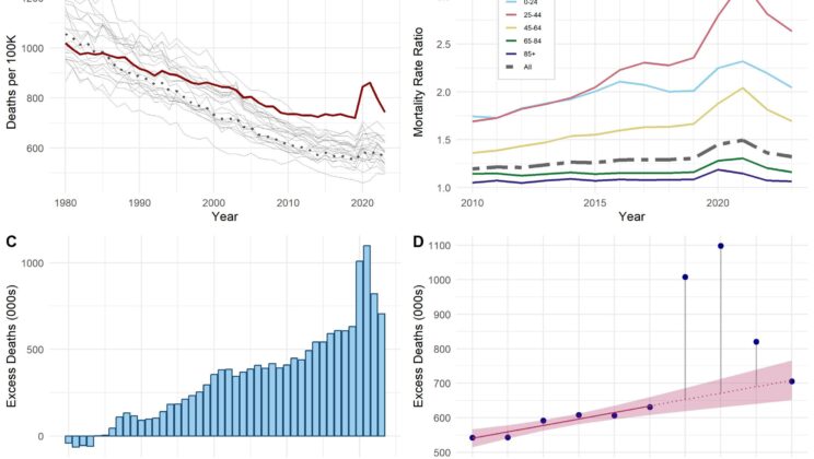 The Hidden Health Crisis That Killed 1.5 Million Americans