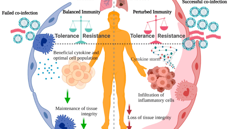 How Infections Spread: Medical View on Bacteria and Viruses