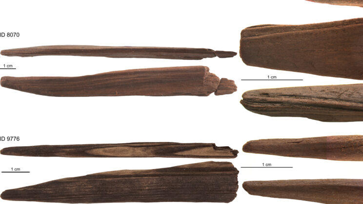 300,000-Year-Old Wooden Tools Reveal Early Human Genius
