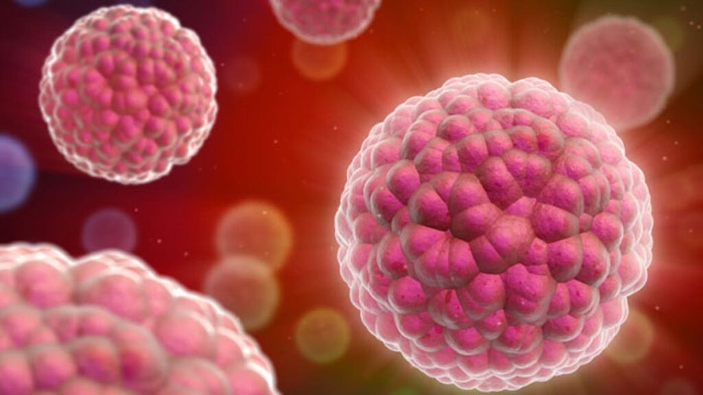 Cancer Risning Why Cancer Rates Are Rising Globally