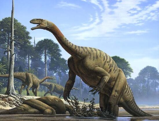 Prehistoric Reptiles Crossed a Scorched Earth to Conquer the World