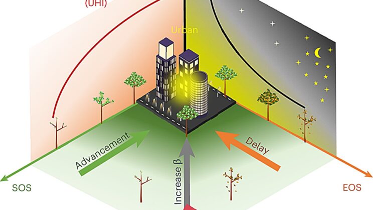 City Lights Are Quietly Changing the Seasons