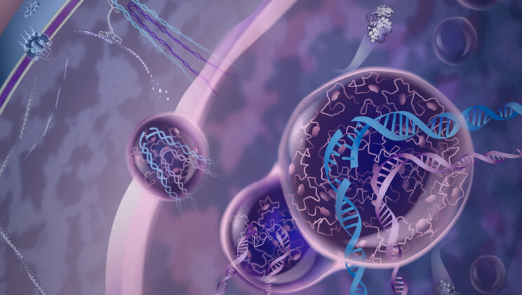 Scientists Discover Protein That Shields DNA and Reduces Cancer Risk