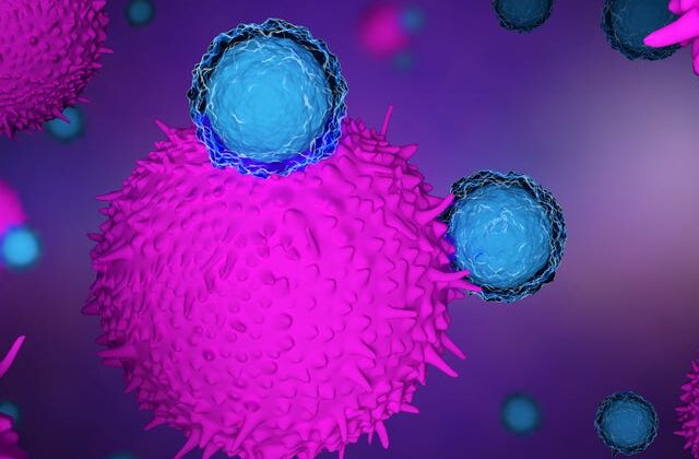 Immunotherapy in Cancer – A New Hope for Cure