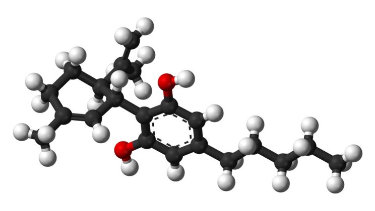 Scientists Discover Cannabis Molecules That Annihilate Deadly Fungal Infections