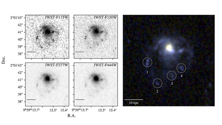 A Cosmic Jellyfish Spotted Eight Billion Light Years Away
