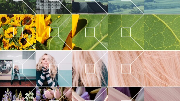 New AI Technology Lets You Zoom In Deeply Without Losing Image Quality