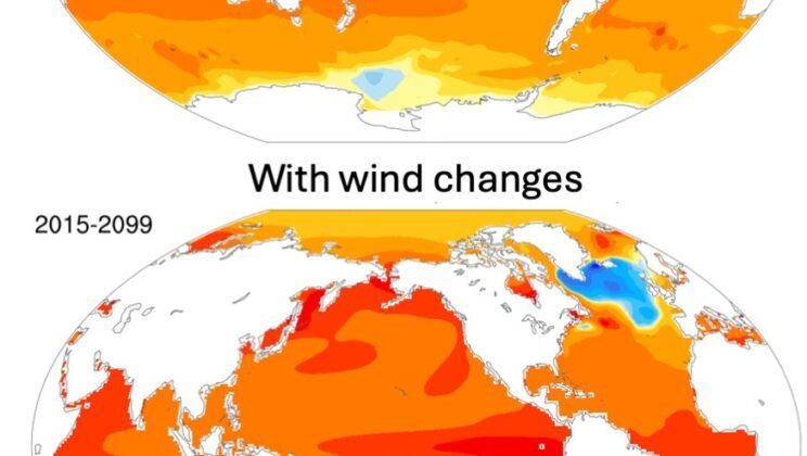 The Strange Patch of Ocean That’s Cooling While the World Heats Up