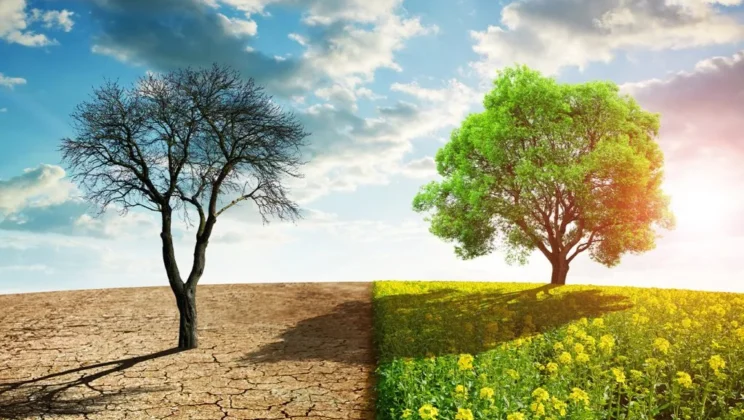 Understanding Climate Change: Key Facts You Should Know