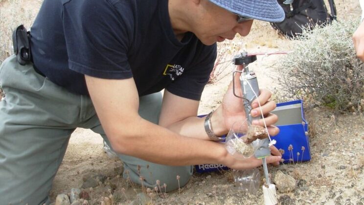Desert Lichen Survives Deadly Space Radiation and Hints at Alien Life