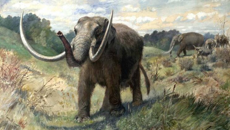 Solving a 10,000-Year-Old Mystery: Proteins Reveal Why Megafauna Disappeared