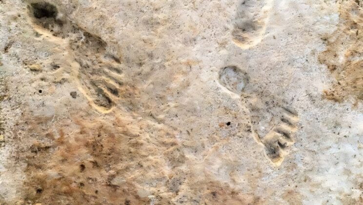 Scientists Uncover 23,000-Year-Old Human Footprints in the American Southwest