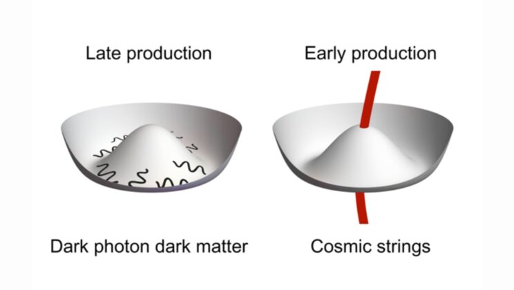 Dark Photons Make a Comeback in the Search for Dark Matter