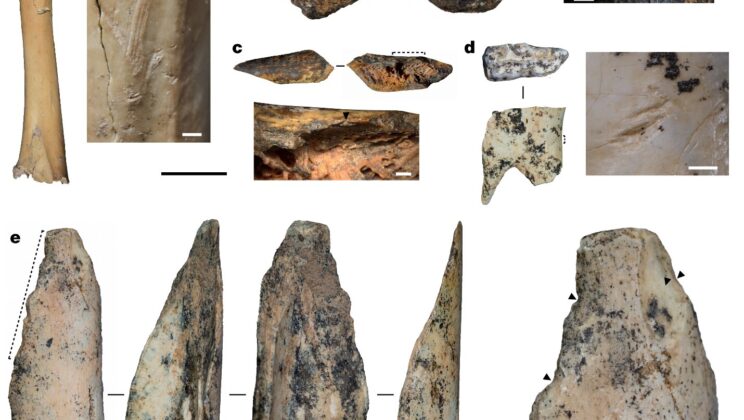 Denisovans Lived in the Himalayas for Over 150,000 Years