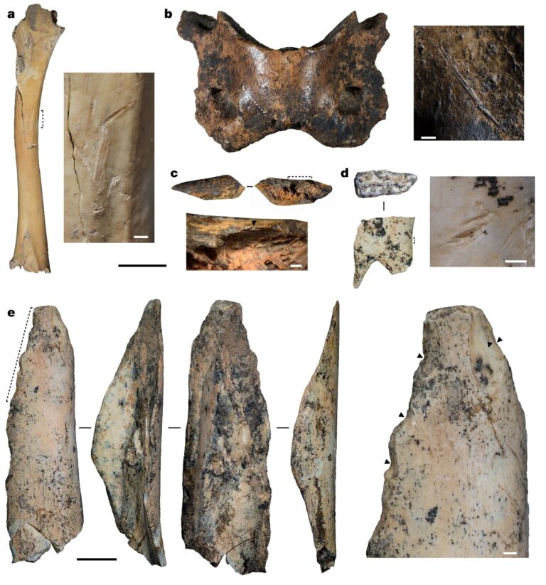 Karst Examples Denisovans Lived in the Himalayas for Over 150,000 Years