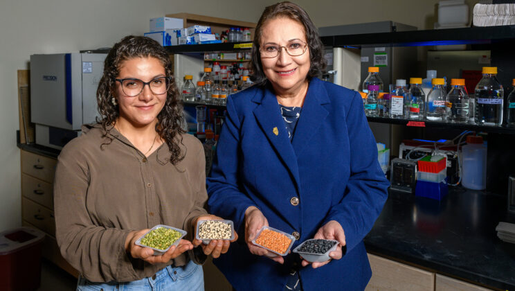 Scientists Discover How Fermentation Boosts the Health Benefits of Pulses