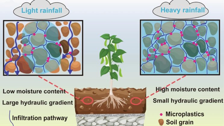 Green Roofs Quietly Trap Microplastics in Cities