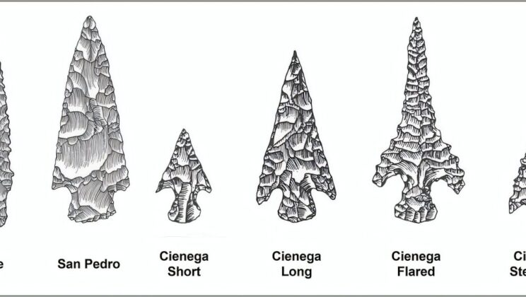How a 4,500-Year-Old Migration Planted the Seeds of Agriculture in the Southwest