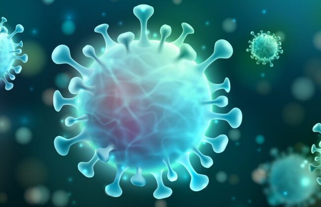 The Science Behind Viral Infections: How Viruses Hijack the Body
