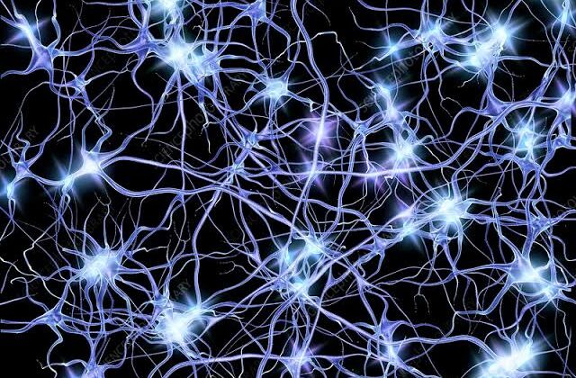 Scientists Discover Just 500 Neurons May Control Binge Drinking