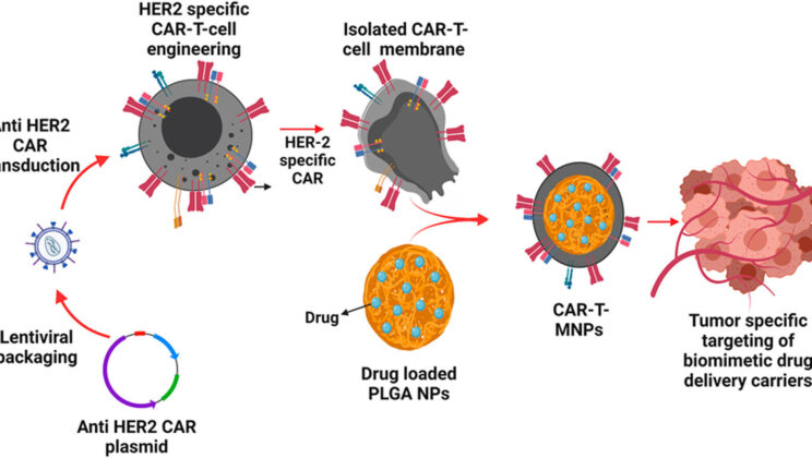 How Chemotherapy Works to Kill Cancer Cells