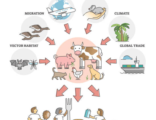 Zoonotic Diseases: How Animal Viruses Jump to Humans