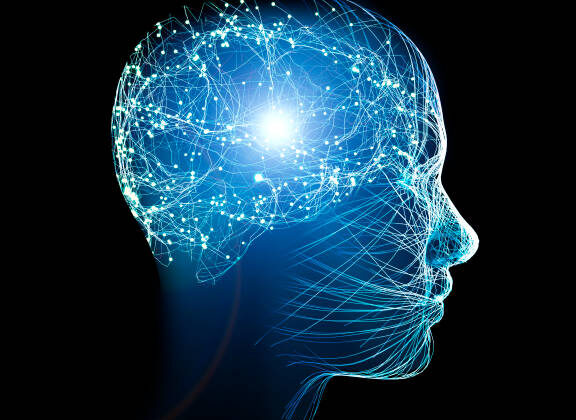 How Human Curiosity Follows the Same Pattern Across Centuries and Cultures