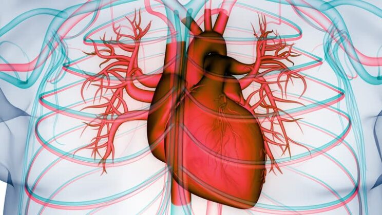 Congenital Heart Defects: Causes and Treatments