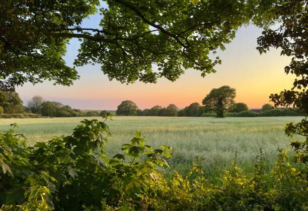 What Are Earth’s Natural Cycles and Why Are They Important?