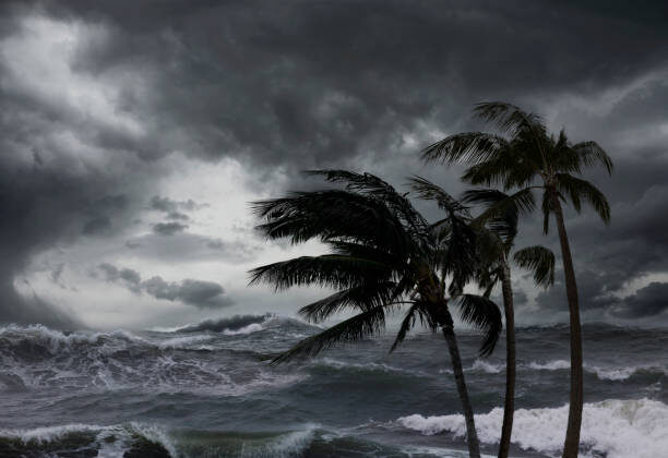 How Do Hurricanes Form and Why Are They So Destructive?