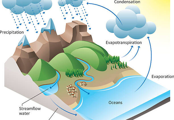 How Does the Water Cycle Affect Our Environment?