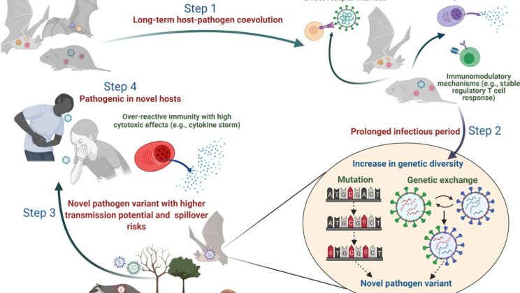 The Evolution of Disease: How Pathogens Adapt Over Time