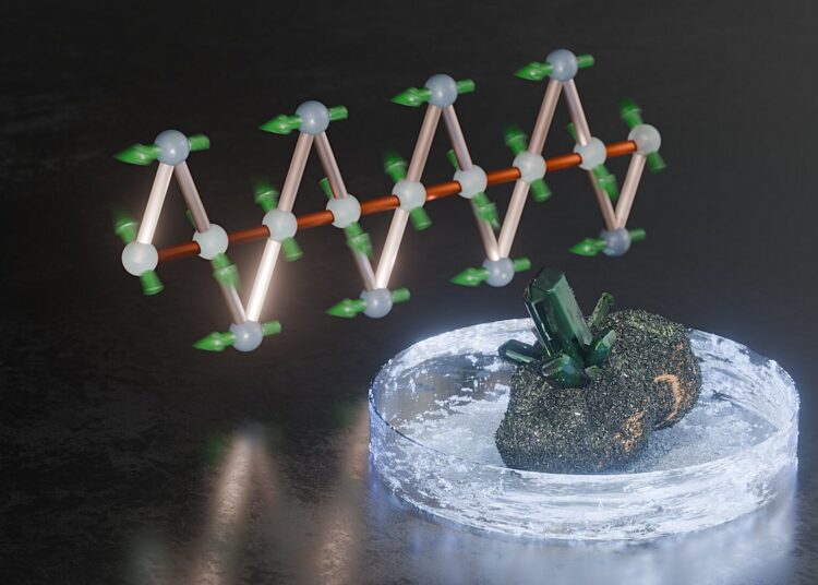The Breakthrough of Altermagnets in Magnetic Device Control