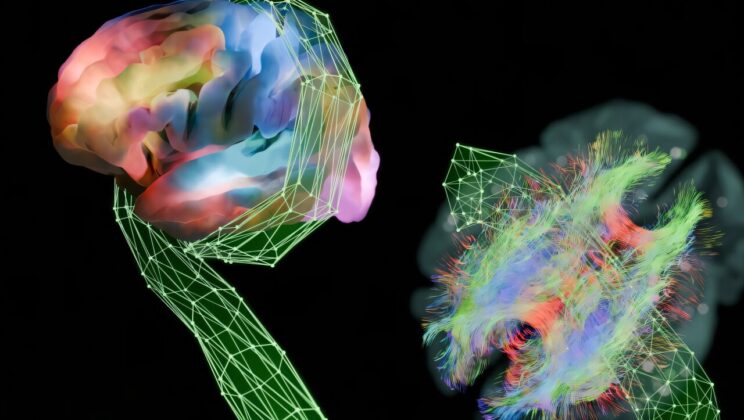 Cracking the Brain’s Code with Krakencoder Brings Scientists Closer to Understanding Human Thought