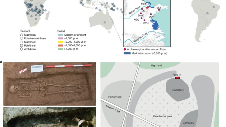 DNA Reveals 4,500-Year-Old Matrilineal Society in Neolithic China