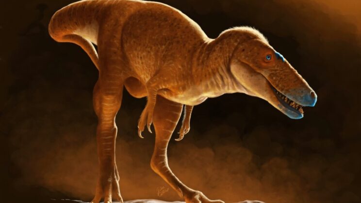 Meet the Dragon Prince Who Came Before T-Rex