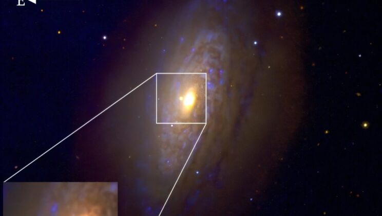 A Dying Star Blazes Twice as Bright in a Distant Galaxy
