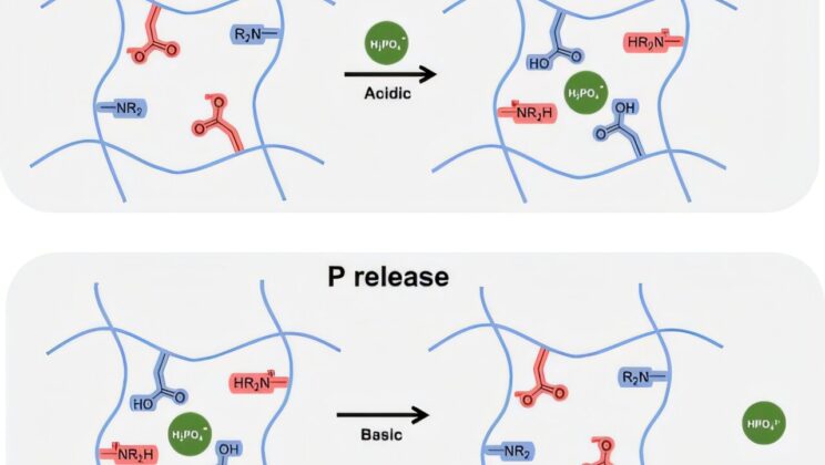 New Hydrogel Cleans Polluted Water and Recycles Phosphorus on the Cheap