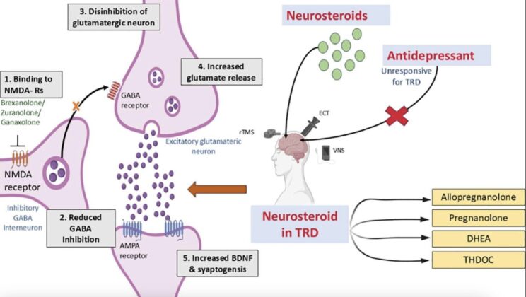 The Molecules in Your Brain That Could Defeat Depression