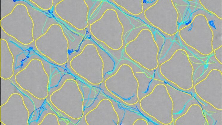 Scientists Discover How to Outsmart Bacteria Without Antibiotics