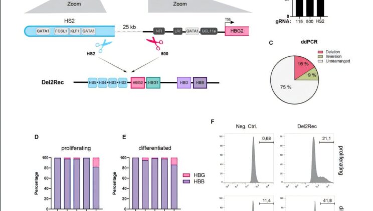 Scientists Discover a Way to Reactivate Dormant Genes to Treat Genetic Disorders