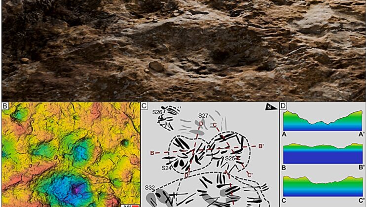 Drone Images Reveal Prehistoric Stage Where Dinosaurs Danced to Impress