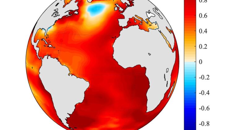 The Mysterious Cold Patch in the Atlantic Is a Warning from the Deep