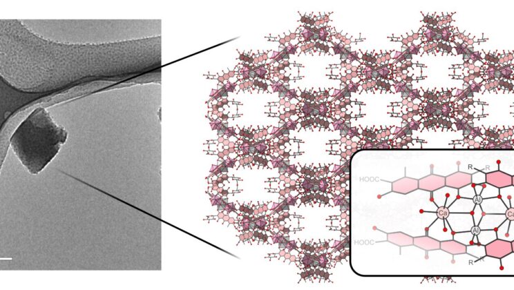 Scientists Unlock the Hidden Nanostructure of Carmine Pigment