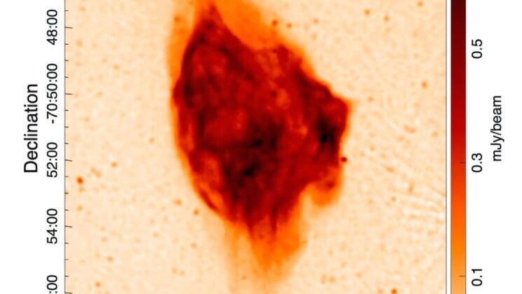 Astronomers Discover a Colossal Supernova Remnant in the Large Magellanic Cloud — and It’s Unlike Anything Seen Before