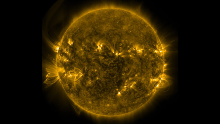 Elder Twin of the Sun Shows Unexpected Magnetic Strength
