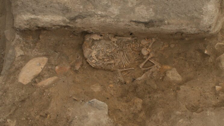 New Genetic Evidence Shows Women Held Power in a 9000-Year-Old Society