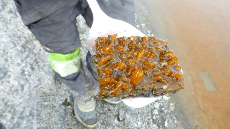 Tiny Ice Pools May Have Saved Complex Life During Earth’s Deep Freeze