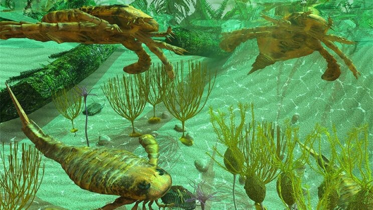 What Is the Cambrian Explosion and Why Was It So Important?