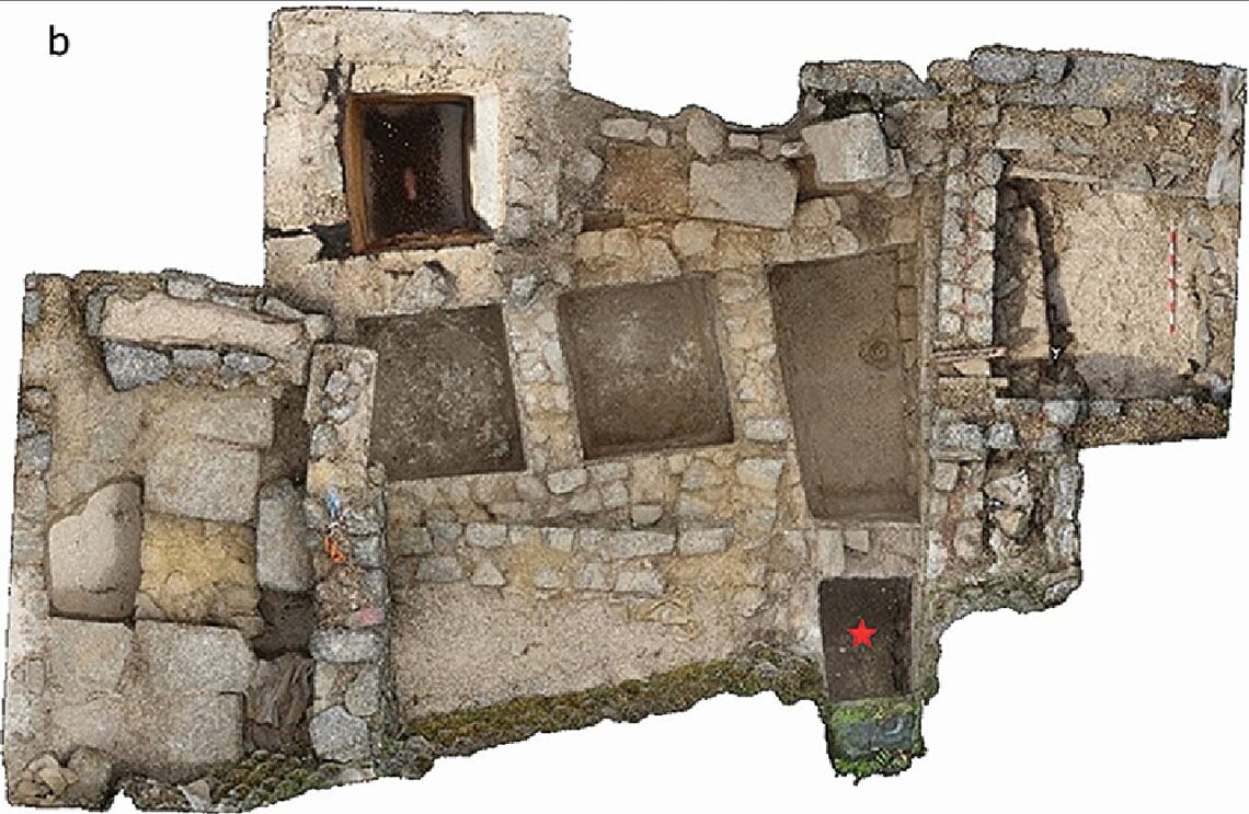 Ancient DNA from Roman Fish Sauce Reveals Secrets Hidden for Centuries